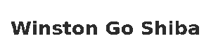 Logo featuring Winston the Shiba Inu with bold text 'Winston Go Shiba' in a modern, clean font.